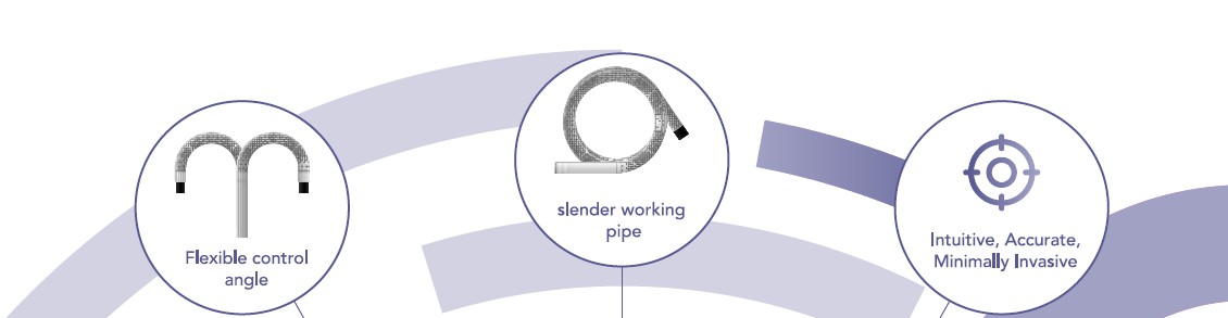 Choledochoscope Accessories