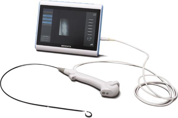 Ureteroscope Tip Detail